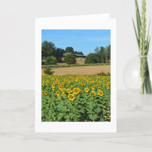 Sunflowers in France Holiday Card