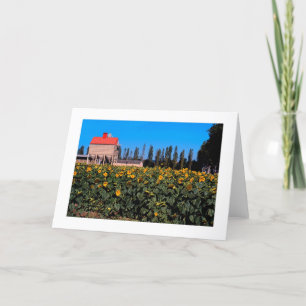 "SUNFLOWERS IN FRENCH COUNTRYSIDE" CARD