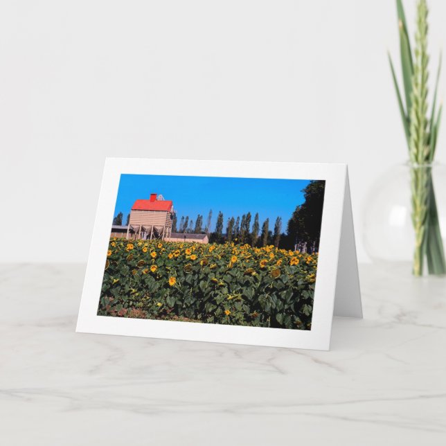 "SUNFLOWERS IN FRENCH COUNTRYSIDE" CARD (Front)