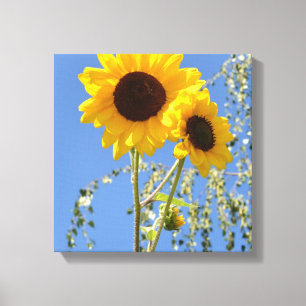 Sunflowers in the Sky Canvas Print