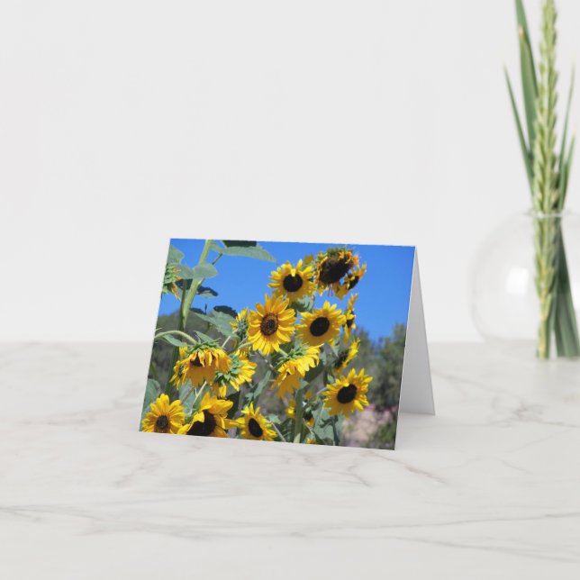 Sunflowers in the sun and a clear blue sky note card (Front)