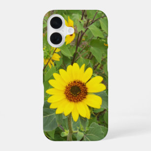 Sunflowers In The Wind, iPhone 16 Case