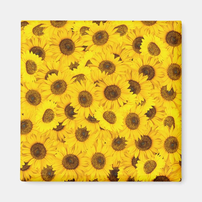 Sunflowers Magnet (Front)
