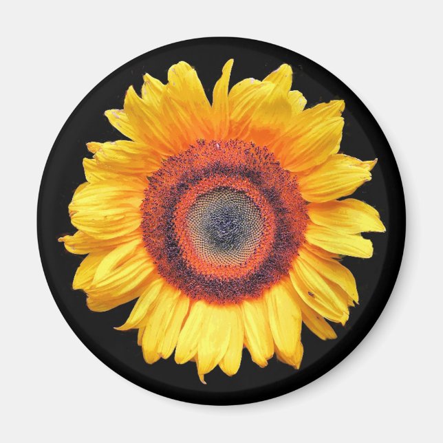 SUNFLOWERS MAGNET (Front)