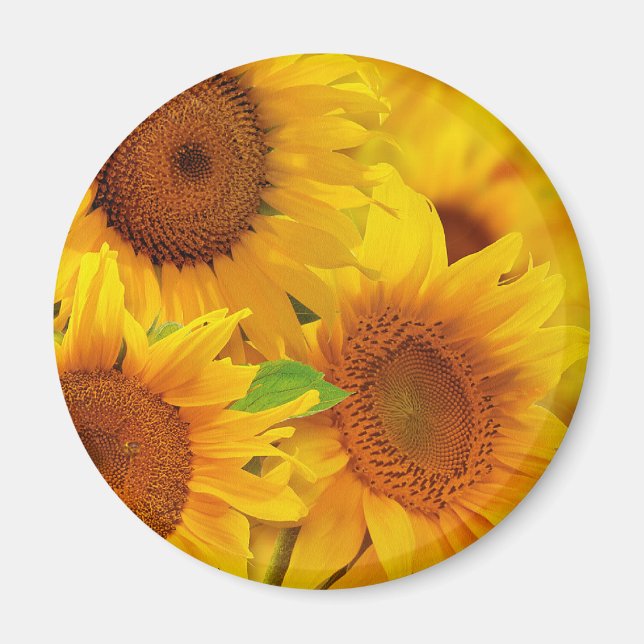 Sunflowers Magnet (Front)