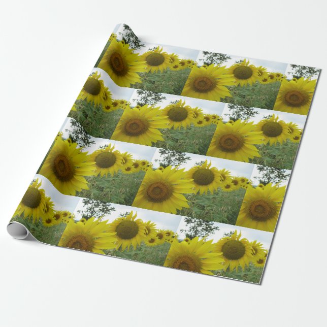 Sunflowers Matte Wrapping Paper (Unrolled)