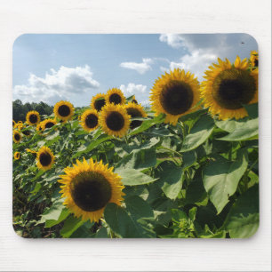 Sunflowers Mouse Mat