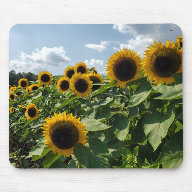 Sunflowers Mouse Mat (Front)
