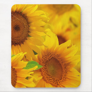Sunflowers Mouse Pad