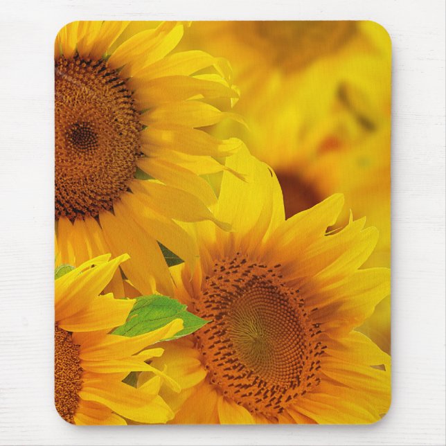 Sunflowers Mouse Pad (Front)