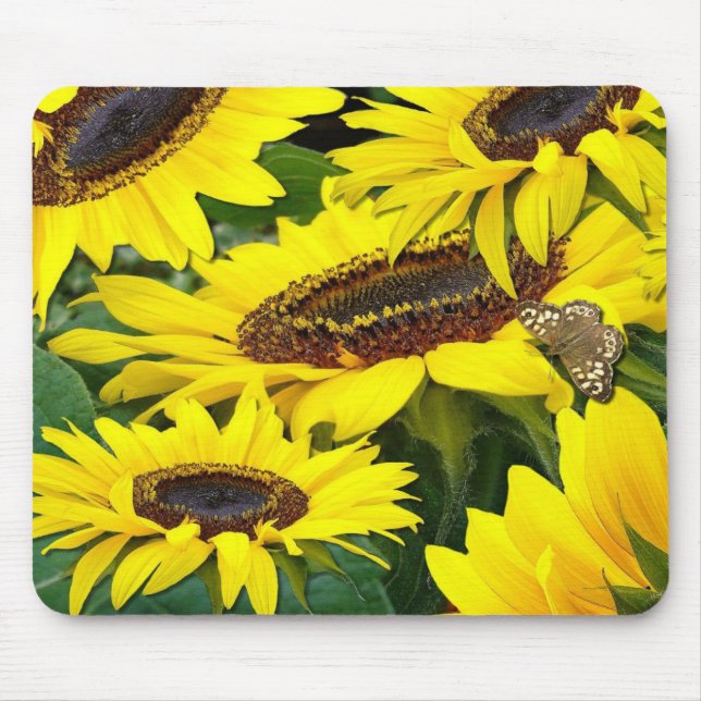 SUNFLOWERS ~  Mousepad (Front)