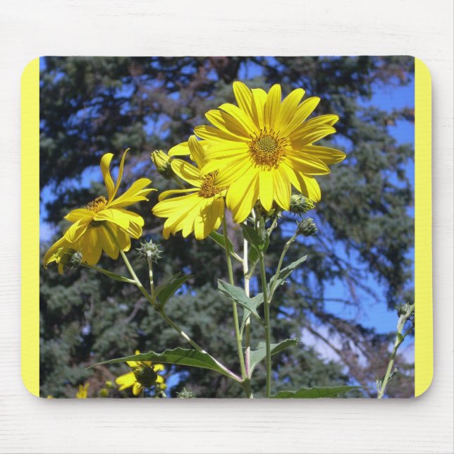 Sunflowers n Pine Mouse Mat (Front)