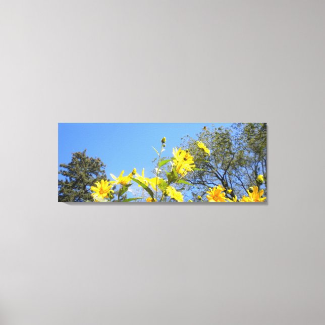 Sunflowers N Sky wrapped Canvas Print (Front)