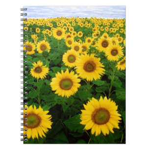 Sunflowers Notebook