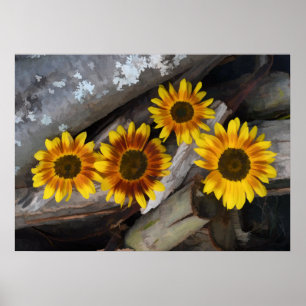 Sunflowers On Logs Brown Yellow Vintage Rustic Art Poster