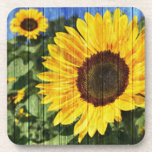 Sunflowers Painted Fence Coaster