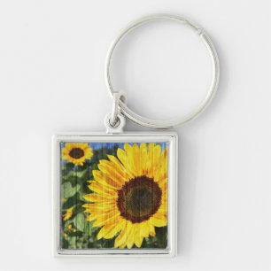 Sunflowers Painted Fence Key Ring