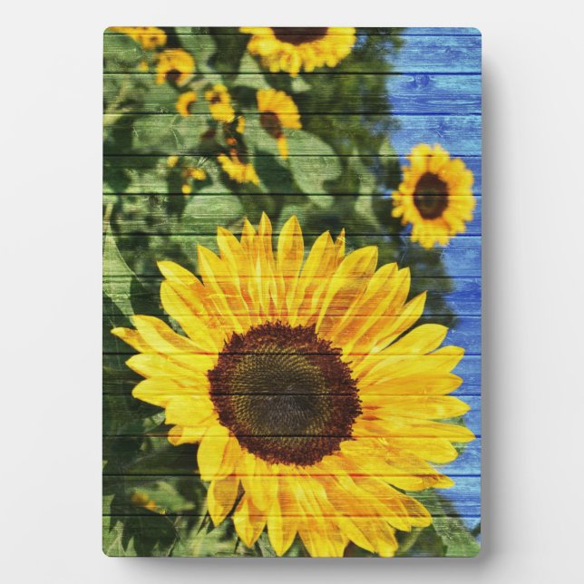 Sunflowers Painted Fence Plaque (Front)