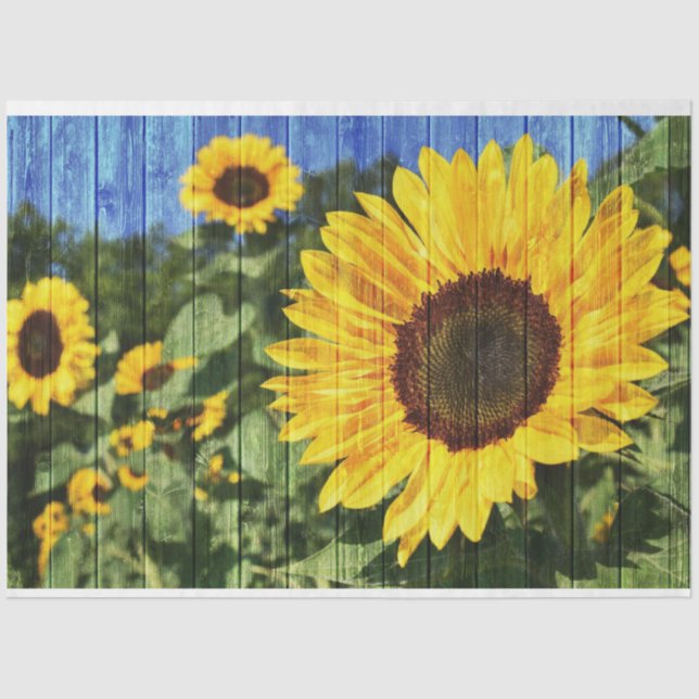 Sunflowers Painted Fence Tissue Paper (Front)