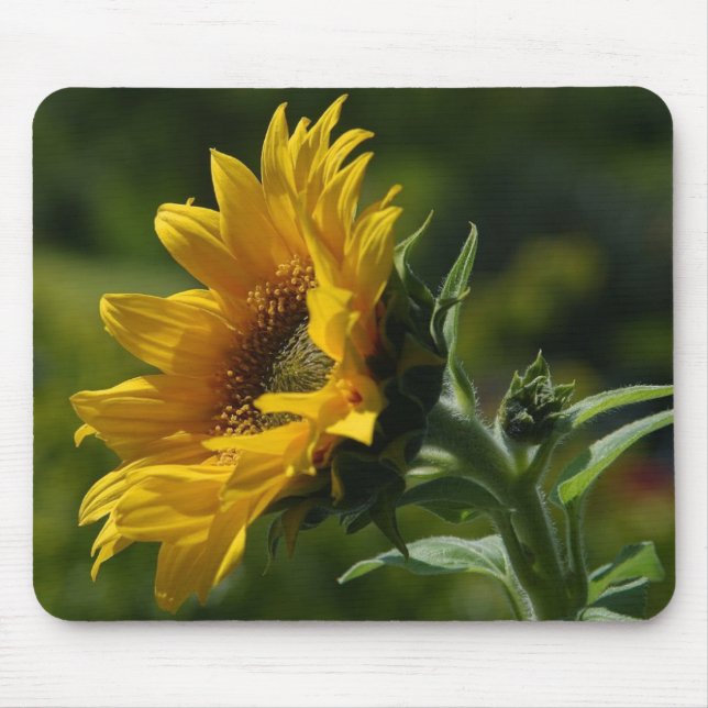Sunflowers Petals Pollen Yellow Mouse Mat (Front)
