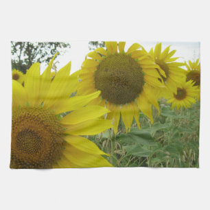 Sunflowers Photo Tea Towel 40.6 cm x 61 cm