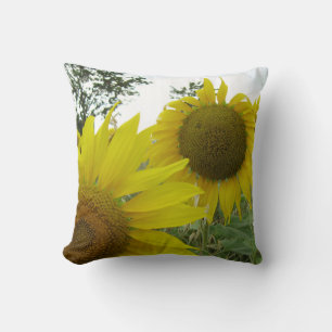 Sunflowers Photo Throw Cushion 41 cm x 41 cm
