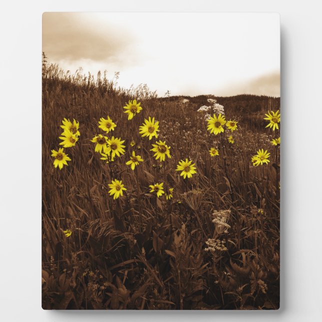 Sunflowers Plaque (Front)