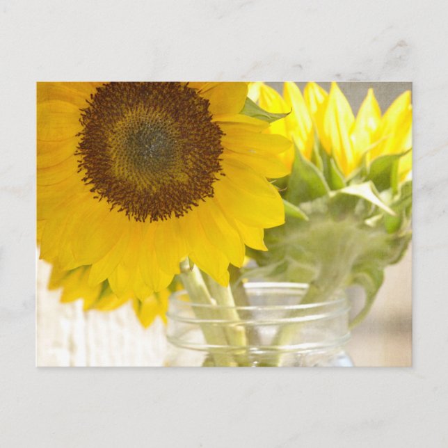 Sunflowers Postcard (Front)