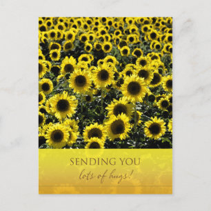 Sunflowers Postcard / Sending You Lots of Hugs