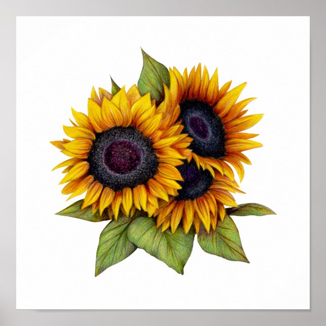 Sunflowers Poster (Front)