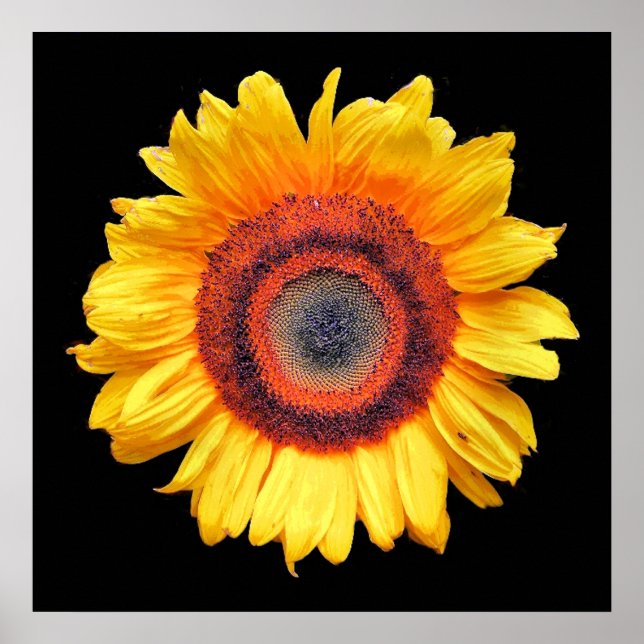 SUNFLOWERS POSTER (Front)