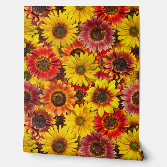 Sunflowers Seamless Pattern Wallpaper (Unrolling)