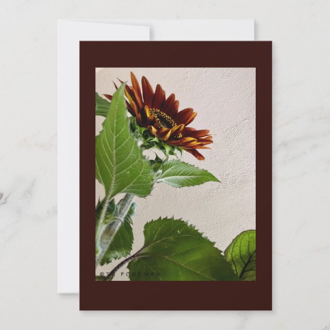 Sunflowers simple note card for handwritten (Front)