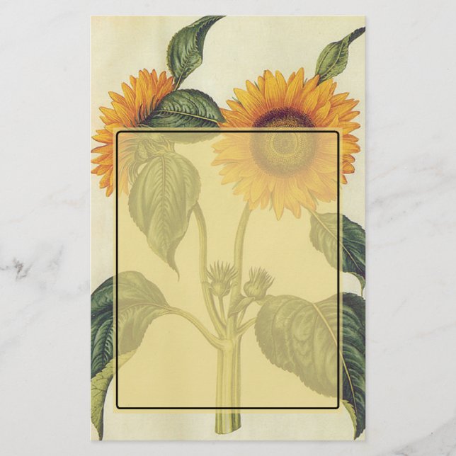 Sunflowers Stationery (Front)