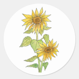 Sunflowers Sticker