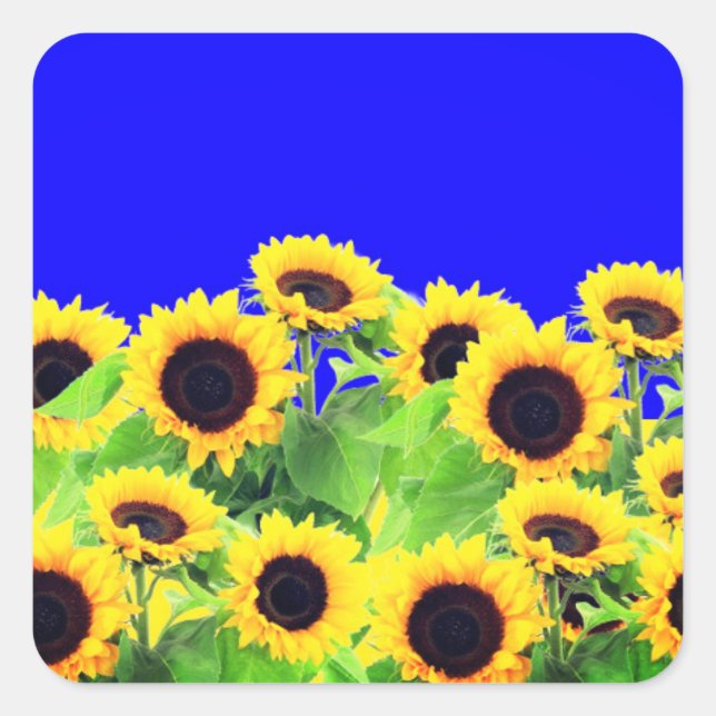 Sunflowers Sticker Ukraine Flag Colours - Freedom (Front)