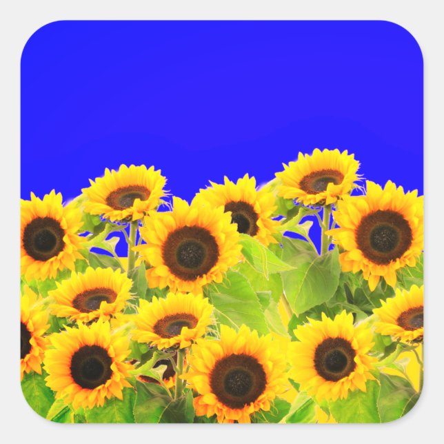 Sunflowers Stickers Ukraine Flag Colours - Freedom (Front)