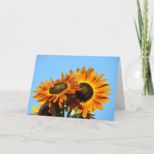 SUNFLOWERS SUN FLOWERS GREETING CARDS NOTE CARD