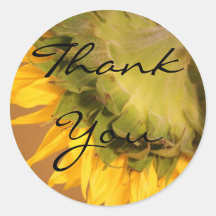 Sunflowers, Thank You Classic Round Sticker