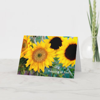 Sunflowers - Thinking of You Note Card