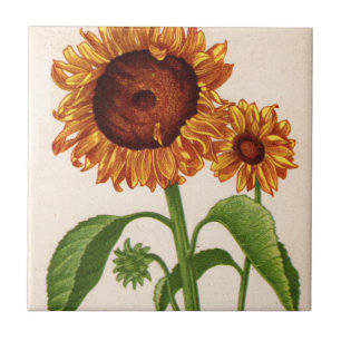 sunflowers tile