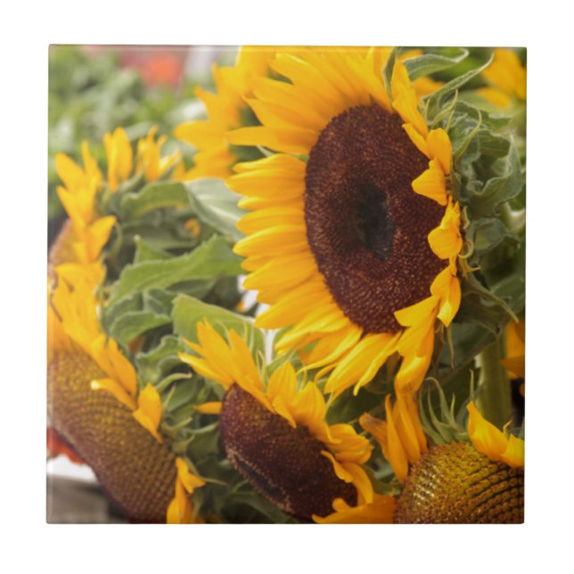 Sunflowers! Tile (Front)