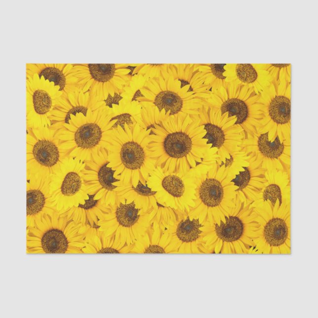 Sunflowers Tissue Paper (Front)