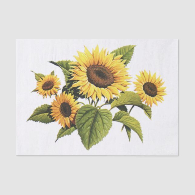Sunflowers Tissue Paper (Front)