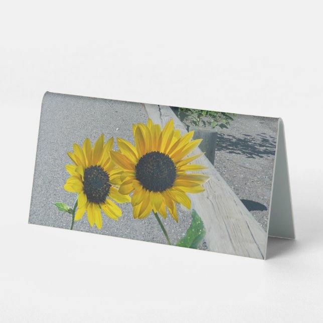 Sunflowers together at wedding reception (Front)