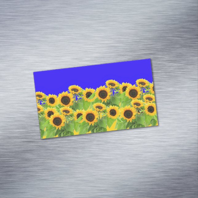Sunflowers Ukrainian Flag Colours Support Ukraine Magnetic Business Card (In Situ)