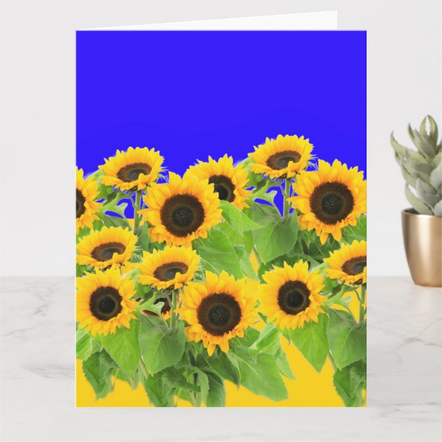 Sunflowers - Ukrainian Flag Peace Freedom Ukraine  Card (Small Plant)
