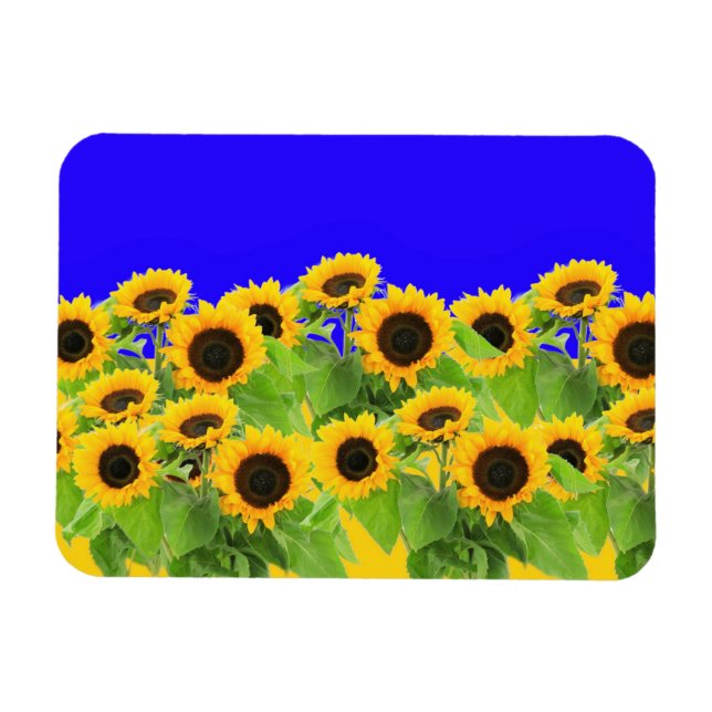Sunflowers - Ukrainian Flag Peace Freedom Ukraine  Magnet (Horizontal)