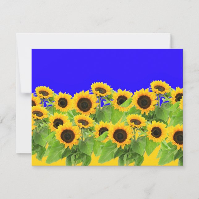 Sunflowers - Ukrainian Flag Peace Freedom Ukraine  RSVP Card (Front)