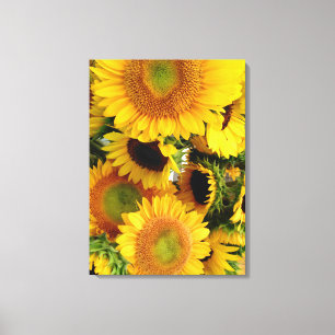 Sunflowers Wall Canvas Print Customise Size